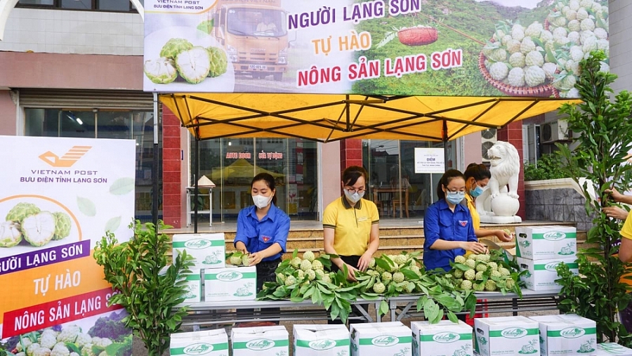 việc thu hái, tiêu thụ na trên địa bàn huyện Chi Lăng về cơ bản  diễn ra thuận lợi, giá cả ổn định
