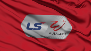 VFF đồng ý tiếp tục tổ chức V-League 2021 vào tháng 2/2022