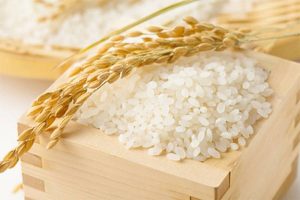 giá mua lúa gạo hiện nay